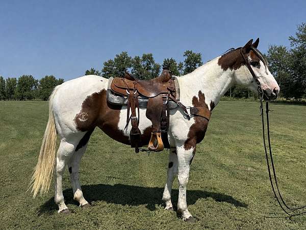 sorrel-tobiano-horse