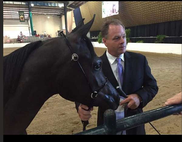 black-aha-mare