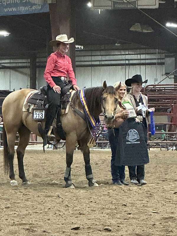 buckskin-quarter-horse