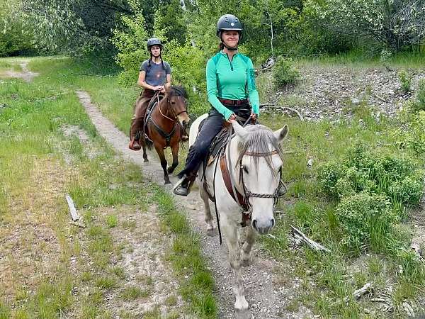 longe-line-mustang-horse