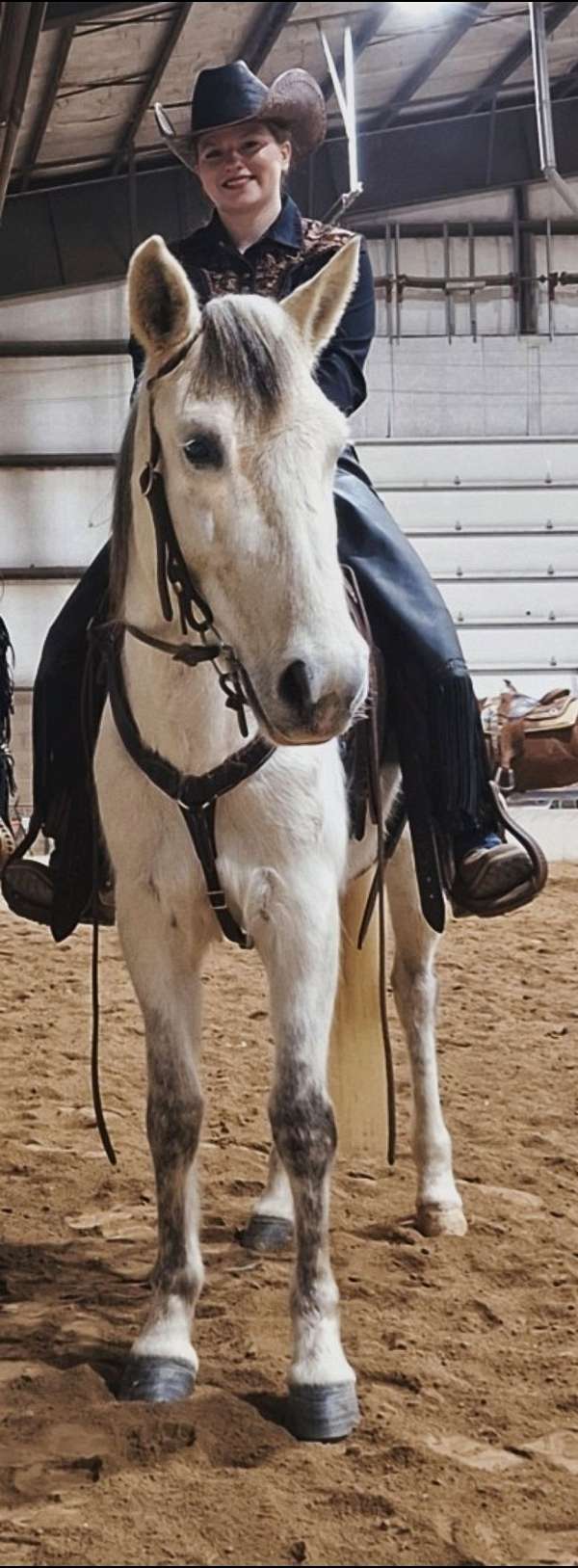 mustang-mare