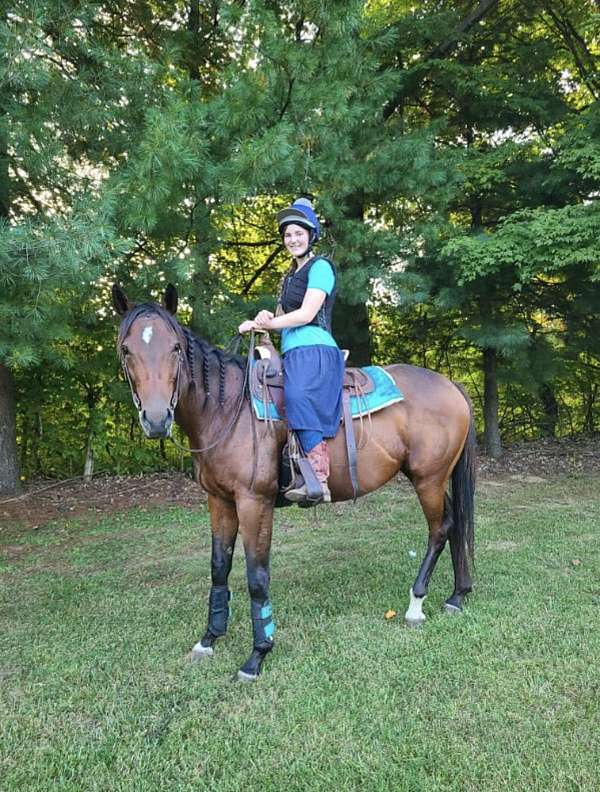 trail-riding-thoroughbred-horse