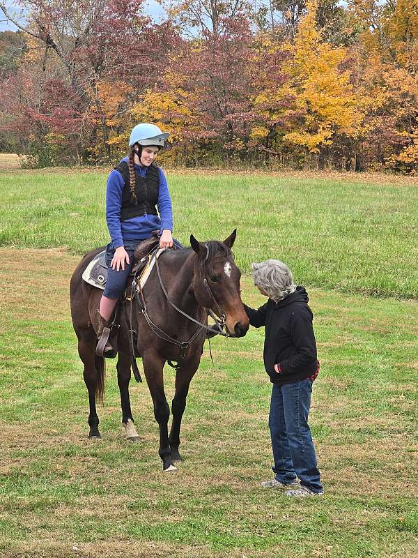 bay-trail-riding-horse