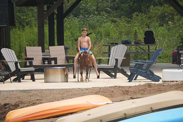 trail-pony