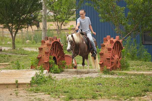 husband-safe-paint-pony