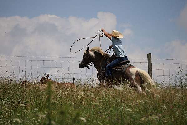 jumping-paint-pony