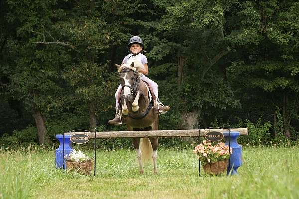 ranch-work-paint-pony