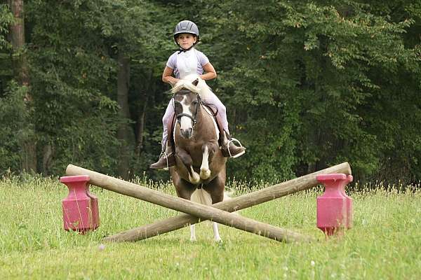 ridden-western-paint-pony