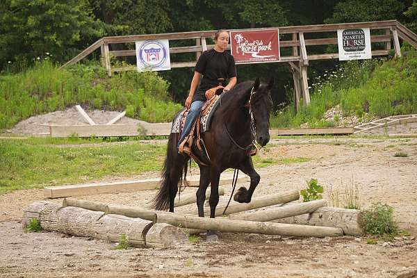 kid-safe-draft-horse