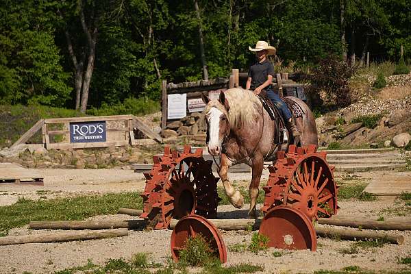 cross-draft-horse