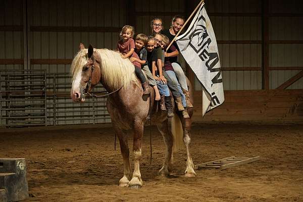 parade-draft-horse