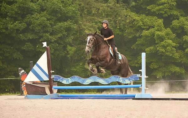 kid-safe-percheron-horse