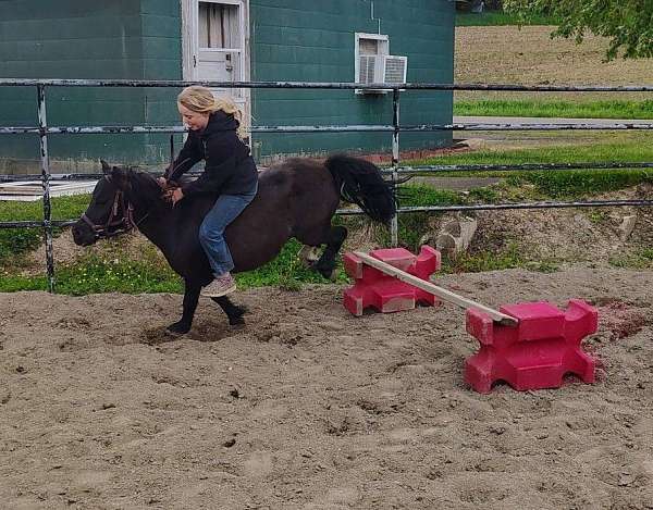 experienced-kids-pony
