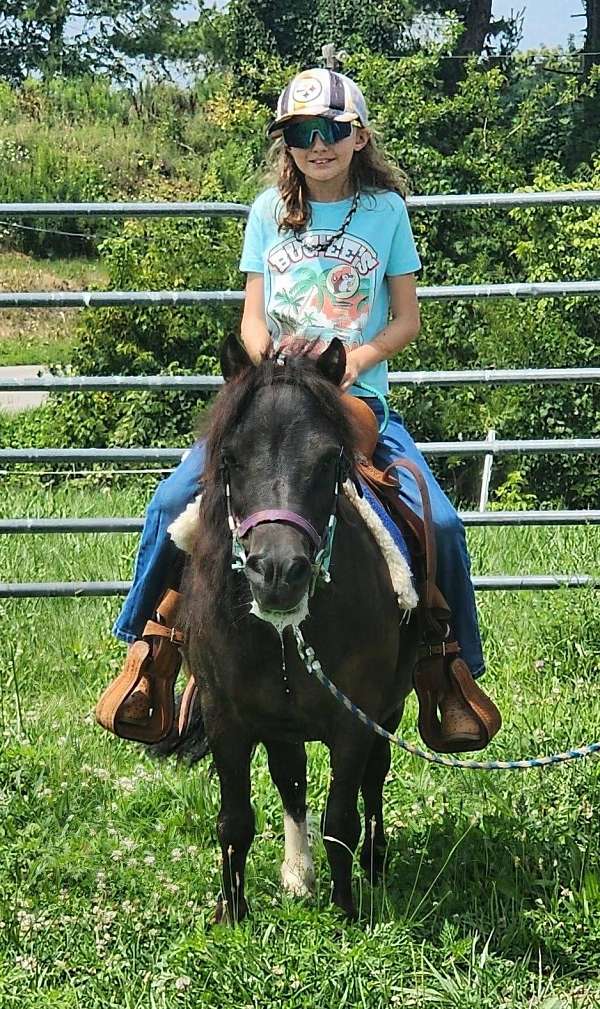 learn-to-ride-pony