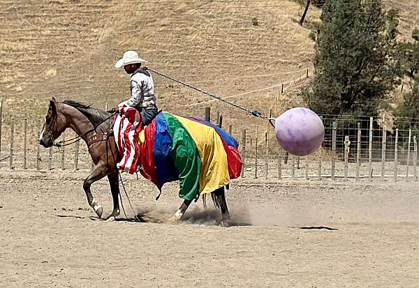 ranch-work-quarter-horse