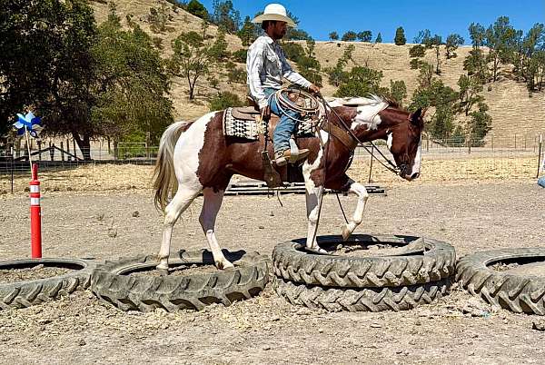 ridden-western-paint-horse