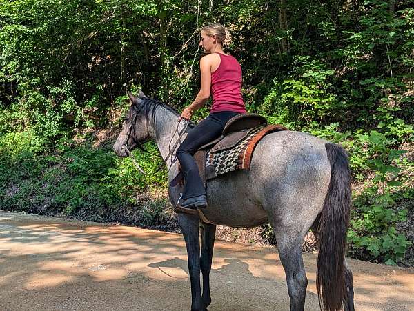 equitation-quarter-horse
