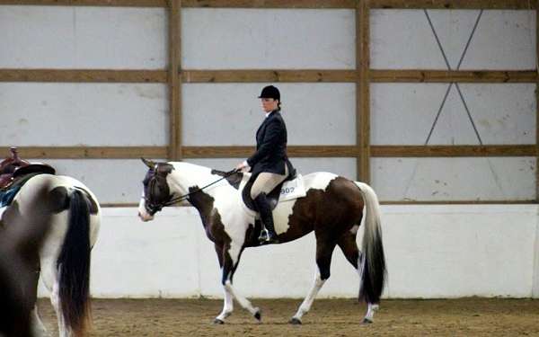 flashy-paint-horse