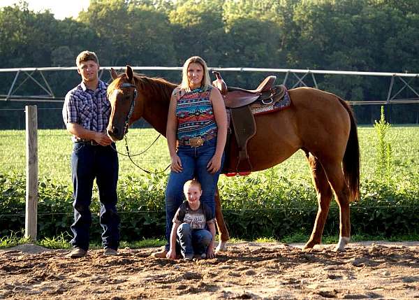 calf-roping-quarter-horse