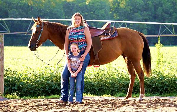 endurance-quarter-horse