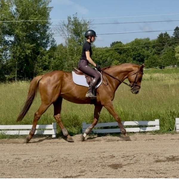 scores-mare
