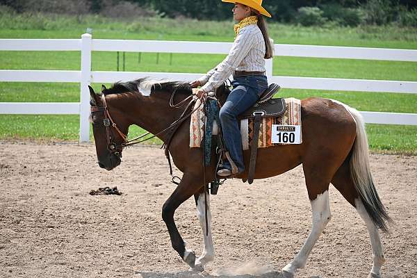 hunter-under-saddle-filly-mare