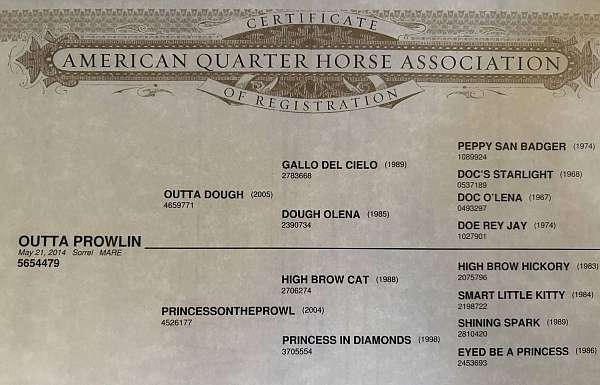 breeding-reined-cow-quarter-horse