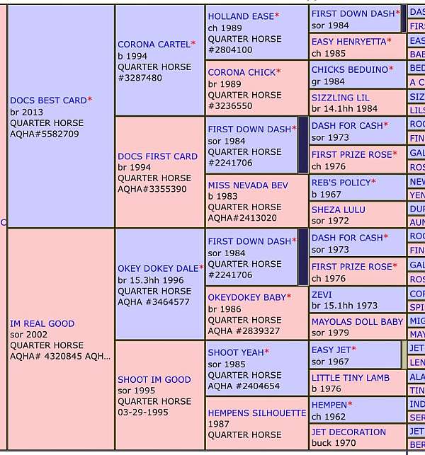 bay-mare-for-sale