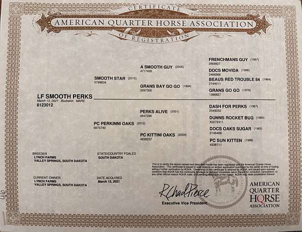 sorrel-gelding-for-sale