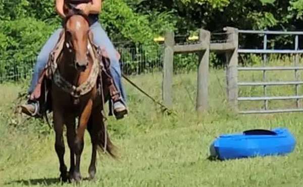 rawhide-dunit-quarter-horse