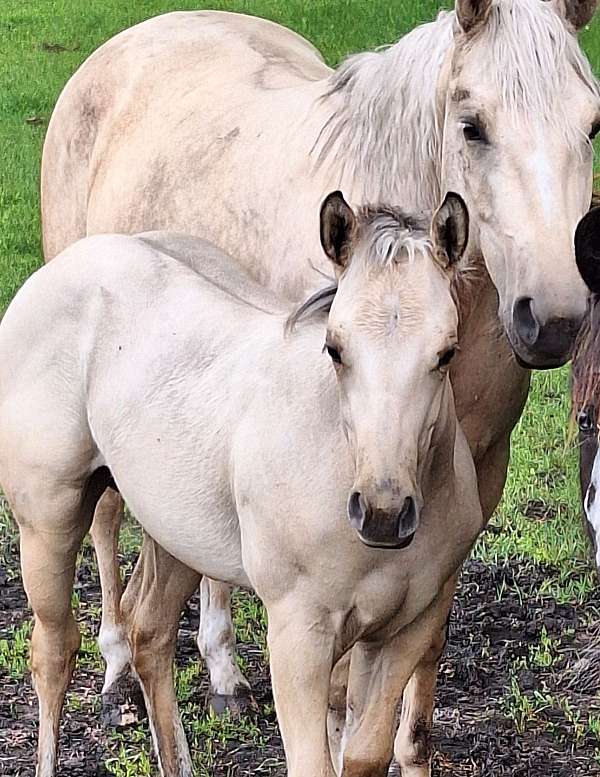 keyhole-mare