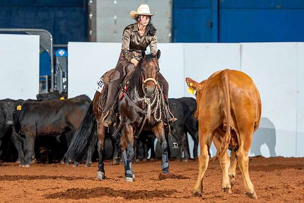 pedigree-quarter-horse
