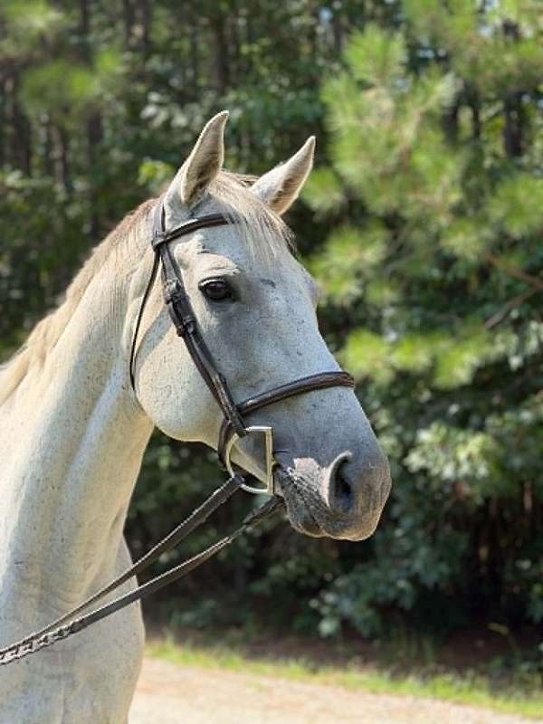 valentina-mare