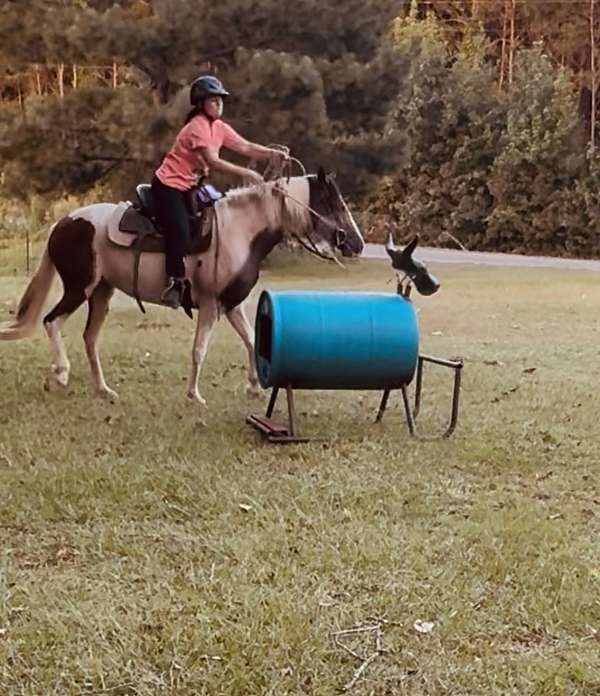 paint-mare