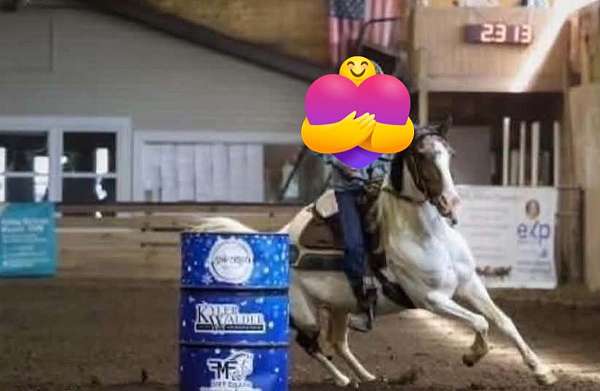paint-pony-mare