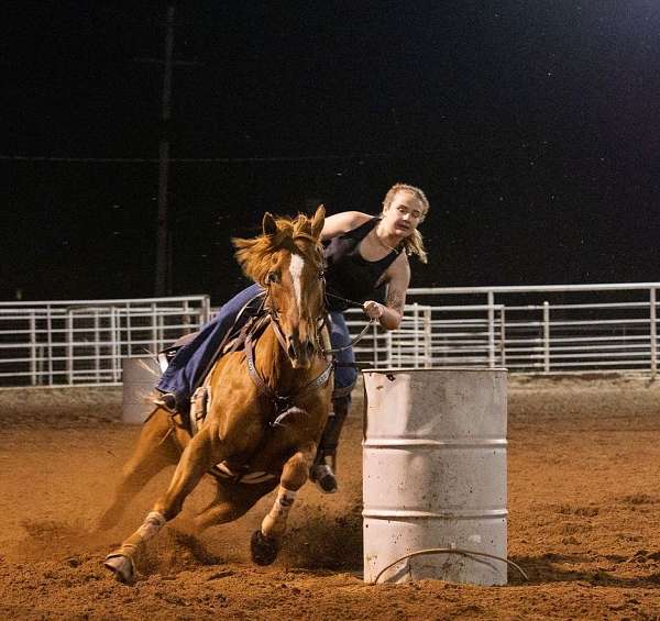 sorrel-perfo-horse