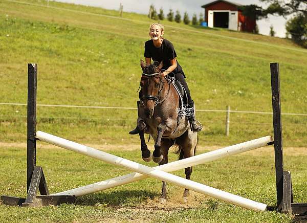 therapy-quarter-horse