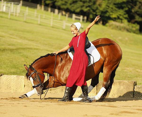 2-white-socks-horse