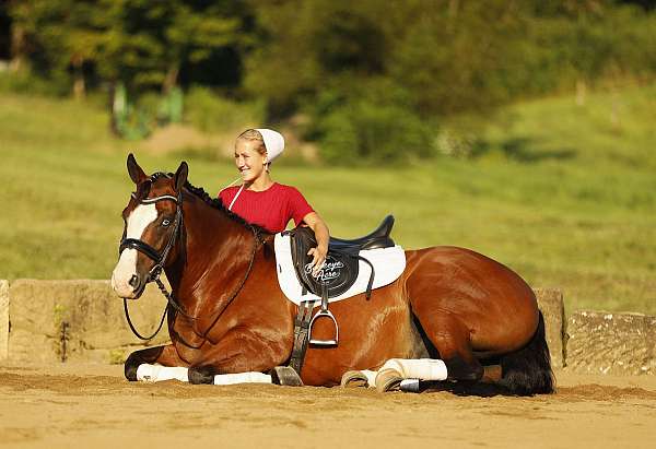 jumping-quarter-horse