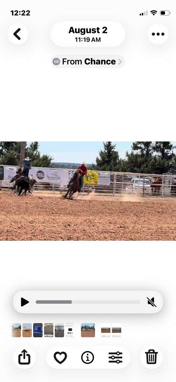 roping-futurity-quarter-horse