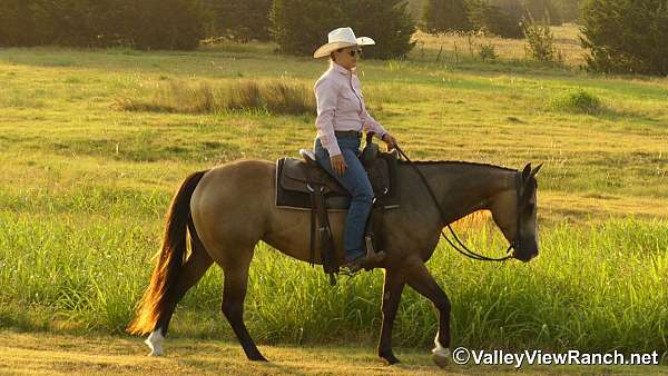 ridden-western-quarter-horse