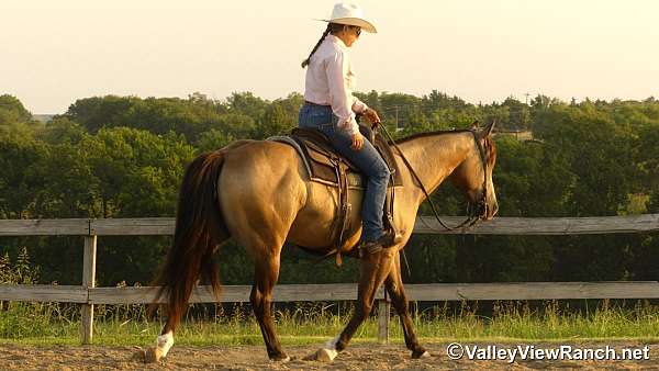 team-penning-quarter-horse