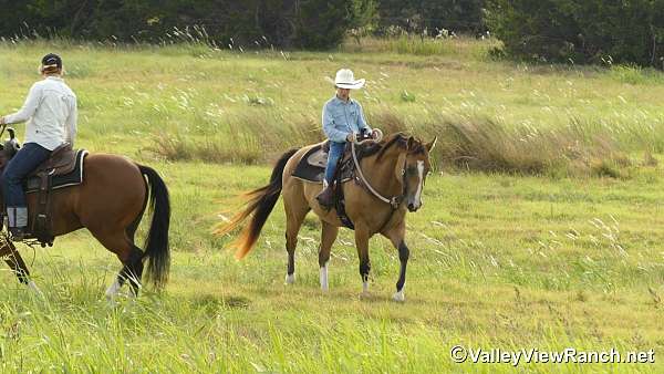 roping-quarter-horse