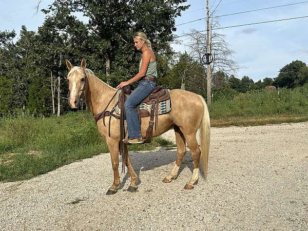 flashy-quarter-horse