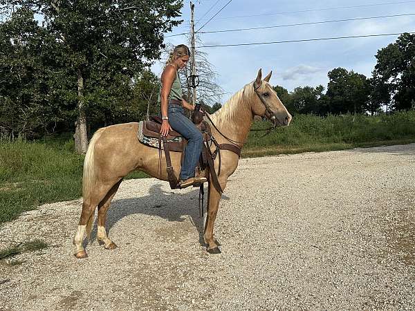 husband-safe-quarter-horse