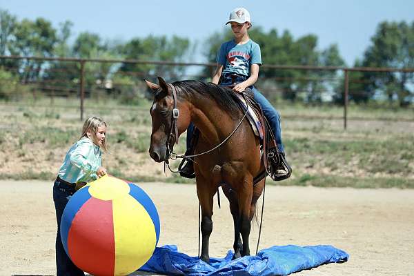 jumping-quarter-horse