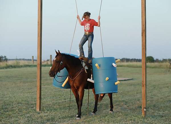 lesson-quarter-horse