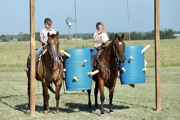 trail-riding-quarter-horse