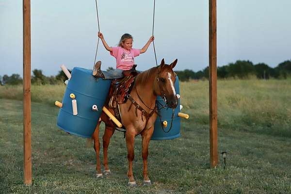 lesson-quarter-horse