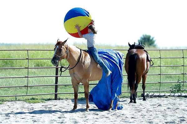 ridden-western-quarter-horse